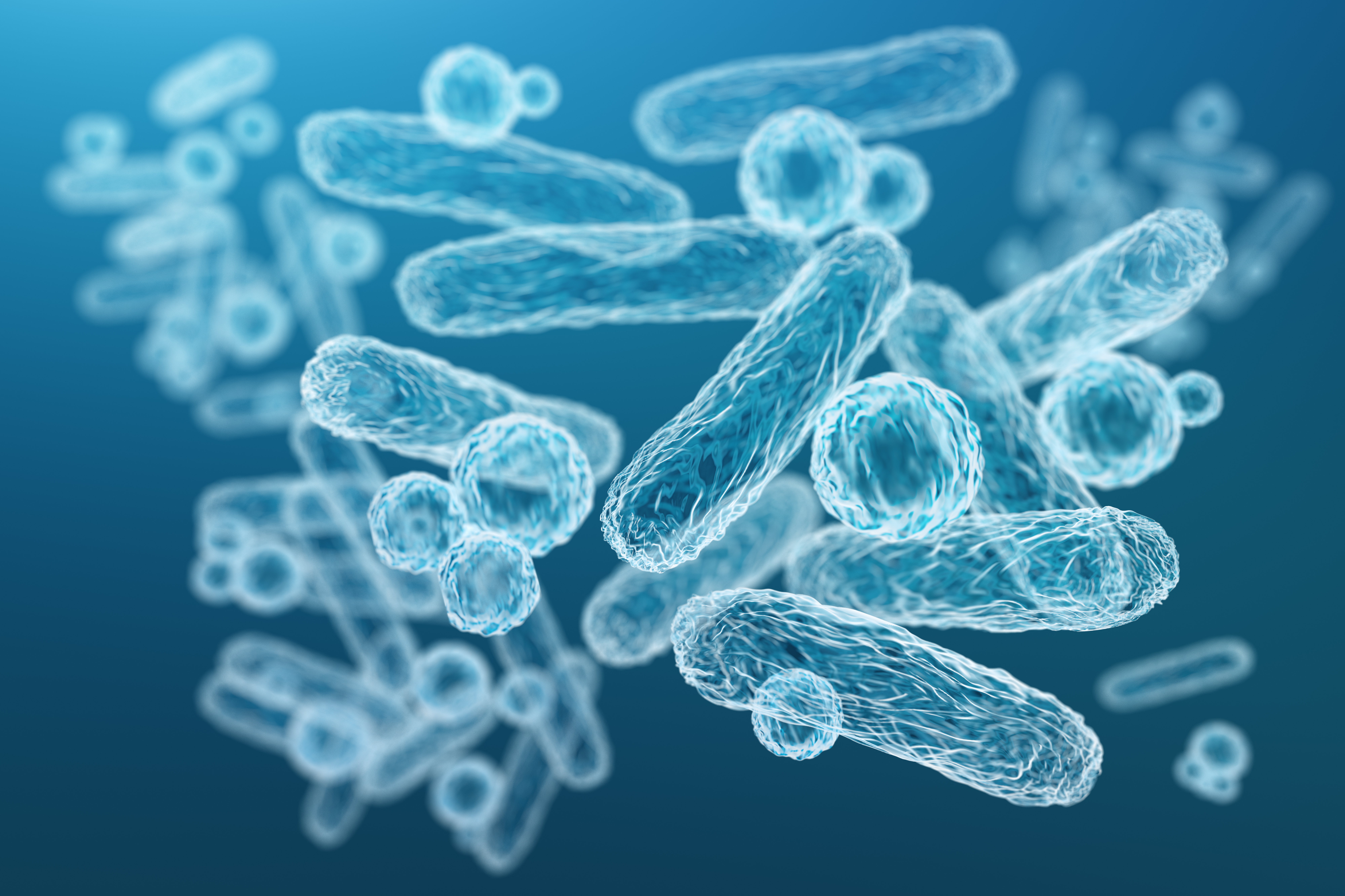 iodobacter