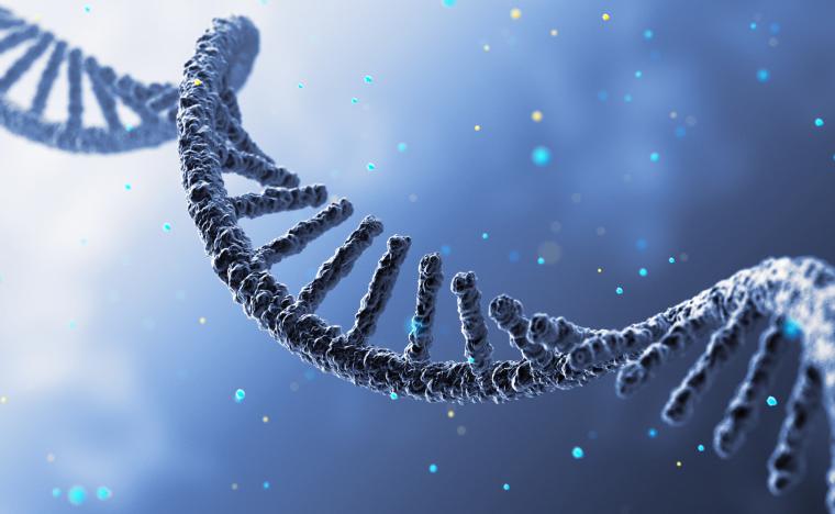RNA